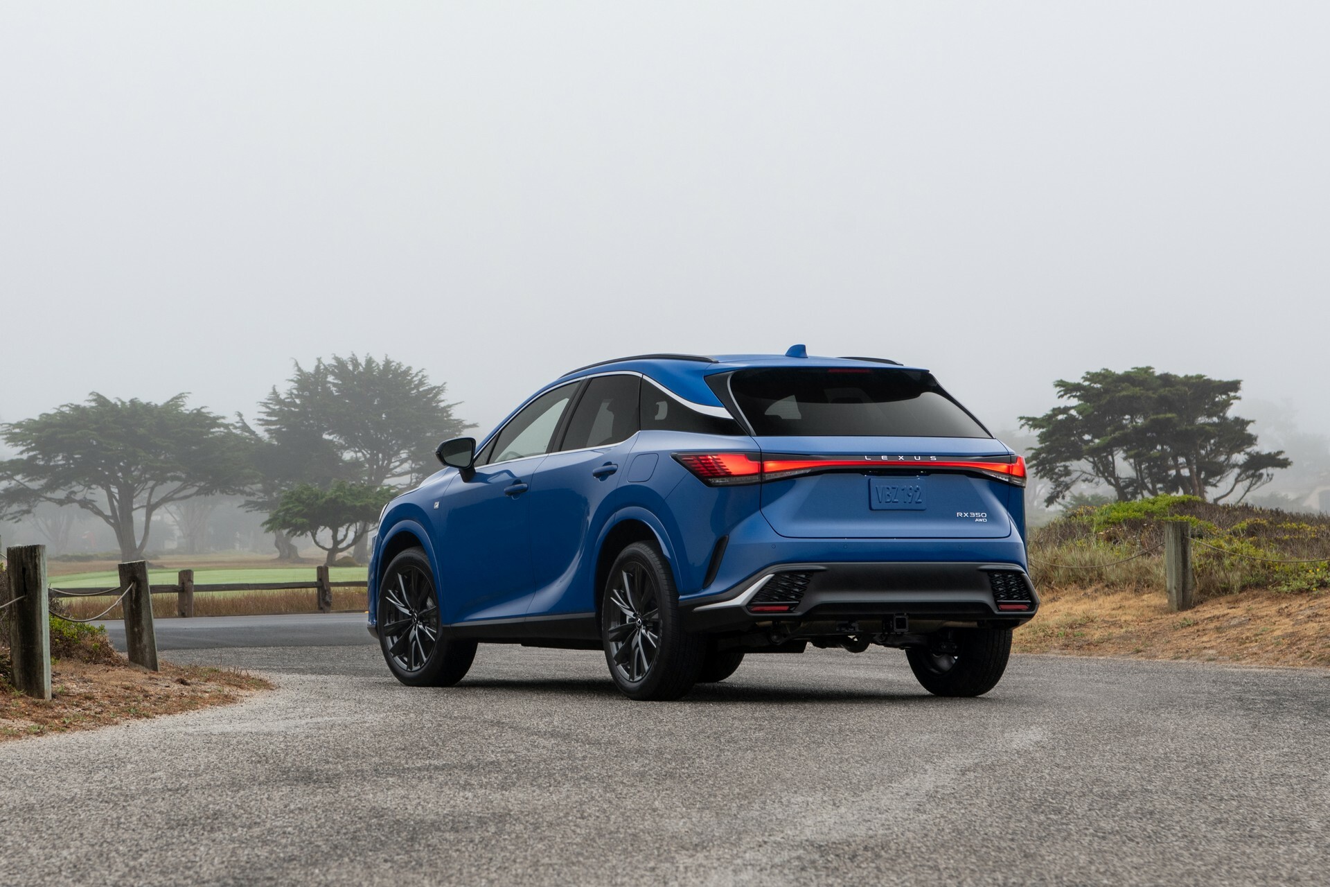 Lexus Rx Gains New F Sport Design Trim And Black Line Special