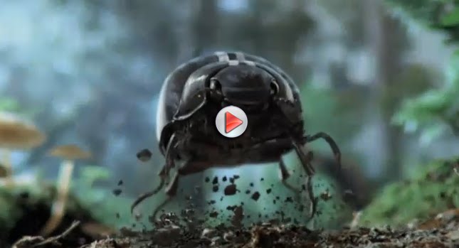  VIDEO: VW Teases its Super Bowl Commercial for the 2012 New Beetle