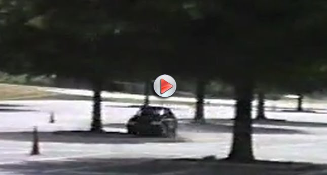  Foxy Mustang vs. Tree: Tree 1, Mustang Nil [with Video]