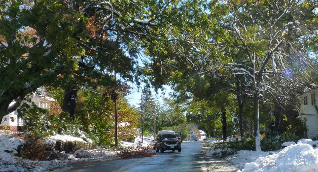  Northeast: Fall Dresses up as…Winter for Halloween