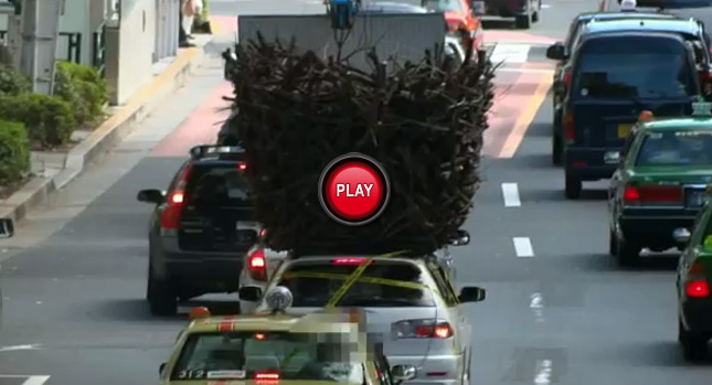  Cuckoo Job? Toyota Station Wagon Caught with Oversized Bird Nest on Roof