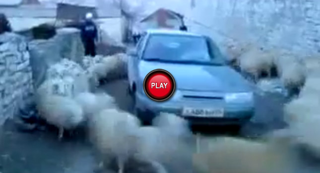  Lada Driver is in Deep Sheep