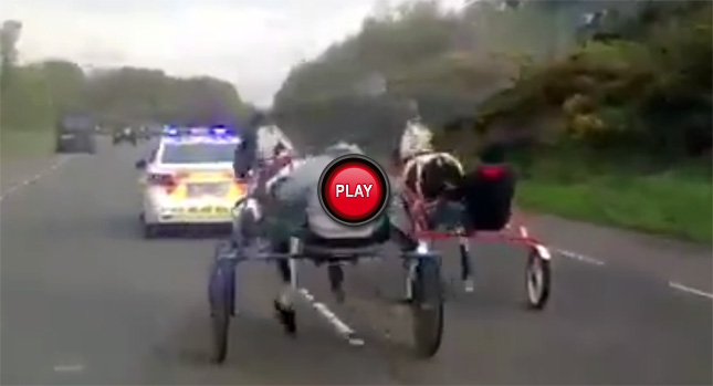  Reckless Gypsy Horse Racers Cause Chaos on Irish Freeway