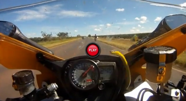  Biker gets a Nasty Surprise when Snake Jumps Out of the Fairing at 250km/h -155mph!