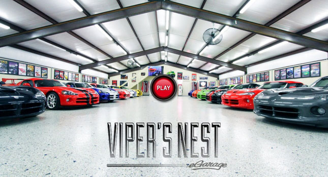  American Couple Owns the Largest Collection of Vipers, 65 of Them!