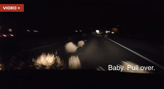  Oh, the Tumbleweed Terror! Woman Freaks Out Behind the Wheel