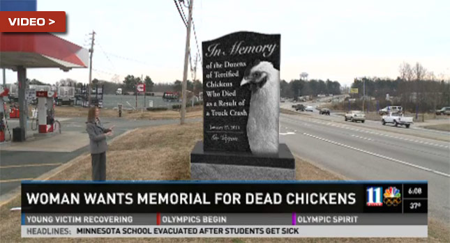  Woman Prompts PETA to Fiddle with Dead Chicken’s Memorial While Rome Burns…