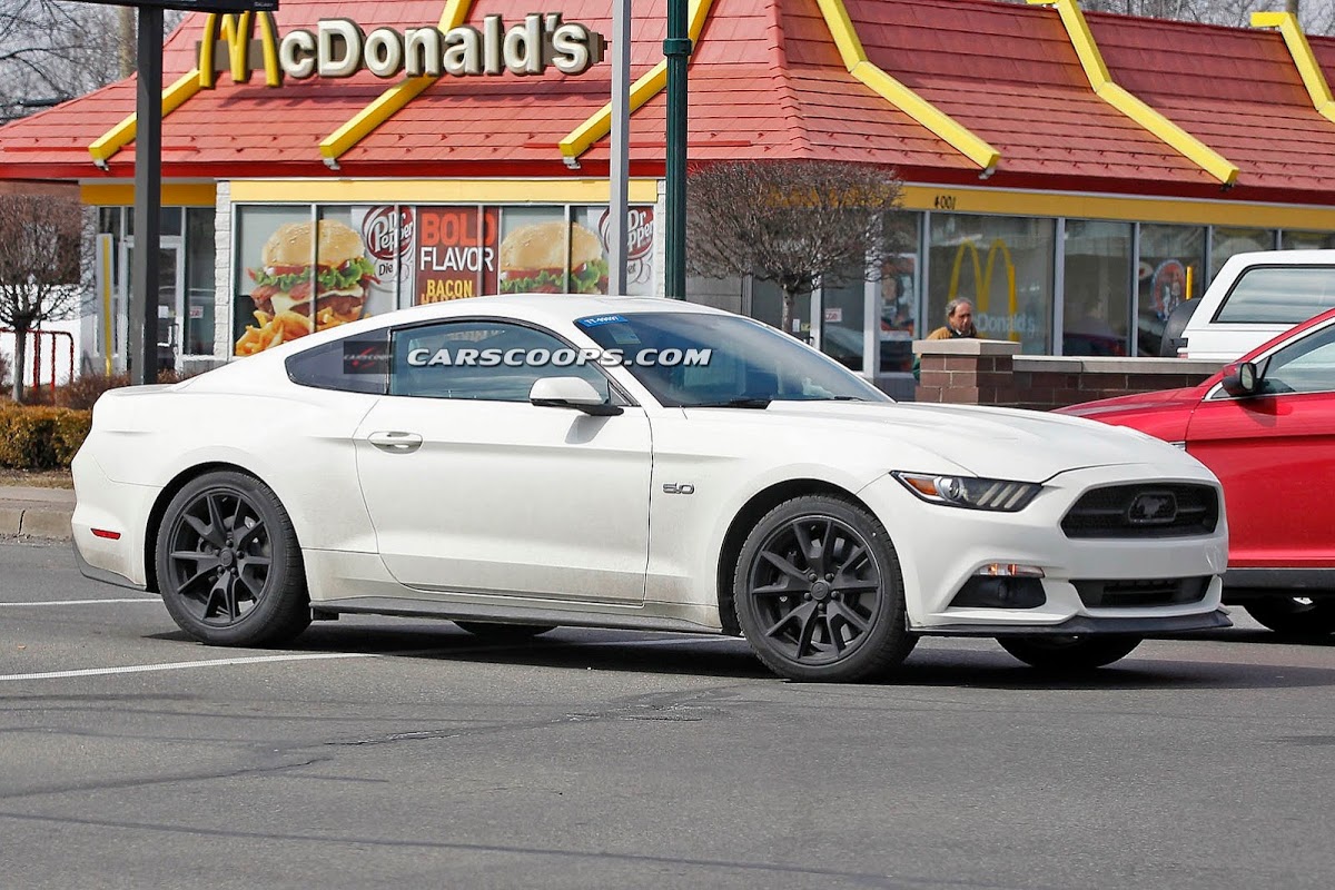2015 Ford Mustang 50th Anniversary Edition Spied? | Carscoops