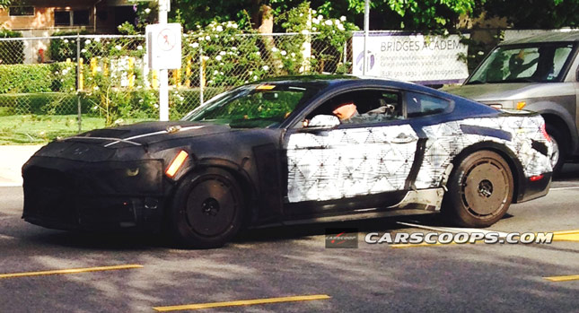  Another Reader Spies Ford's 2016 Mustang Shelby GT500