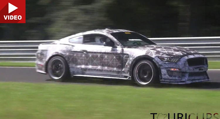  2016 Mustang Shelby Scaring Woodland Critters on the Nurburgring