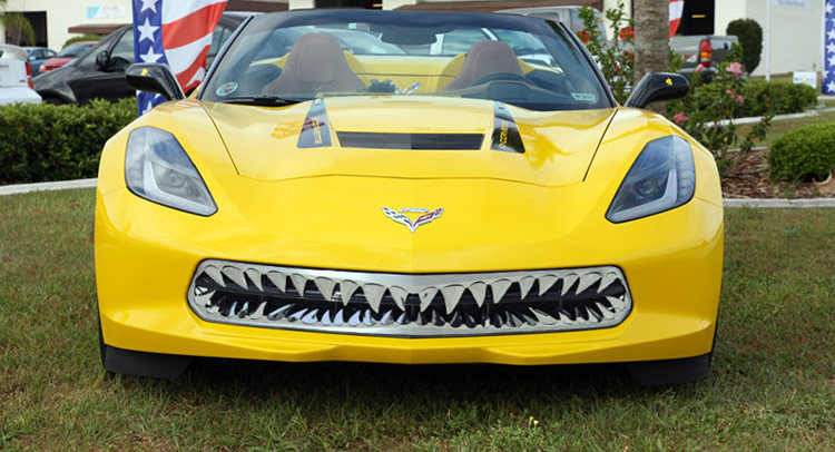  The Sharknado of Corvette Stingray C7 Accessories [w/Video]