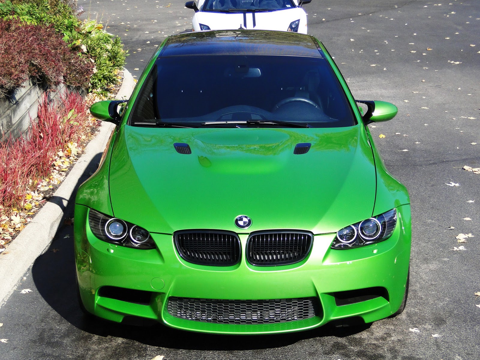 BMW e92 Green