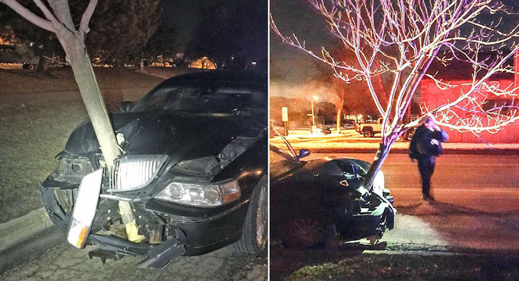  A Woman Was Driving A Lincoln With A 15-Foot Tree Stuck In Her Hood