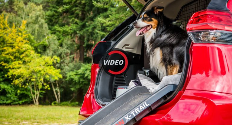 Nissan X-Trail Becomes Dog-Friendly With New ‘Paw Pack’ | Carscoops