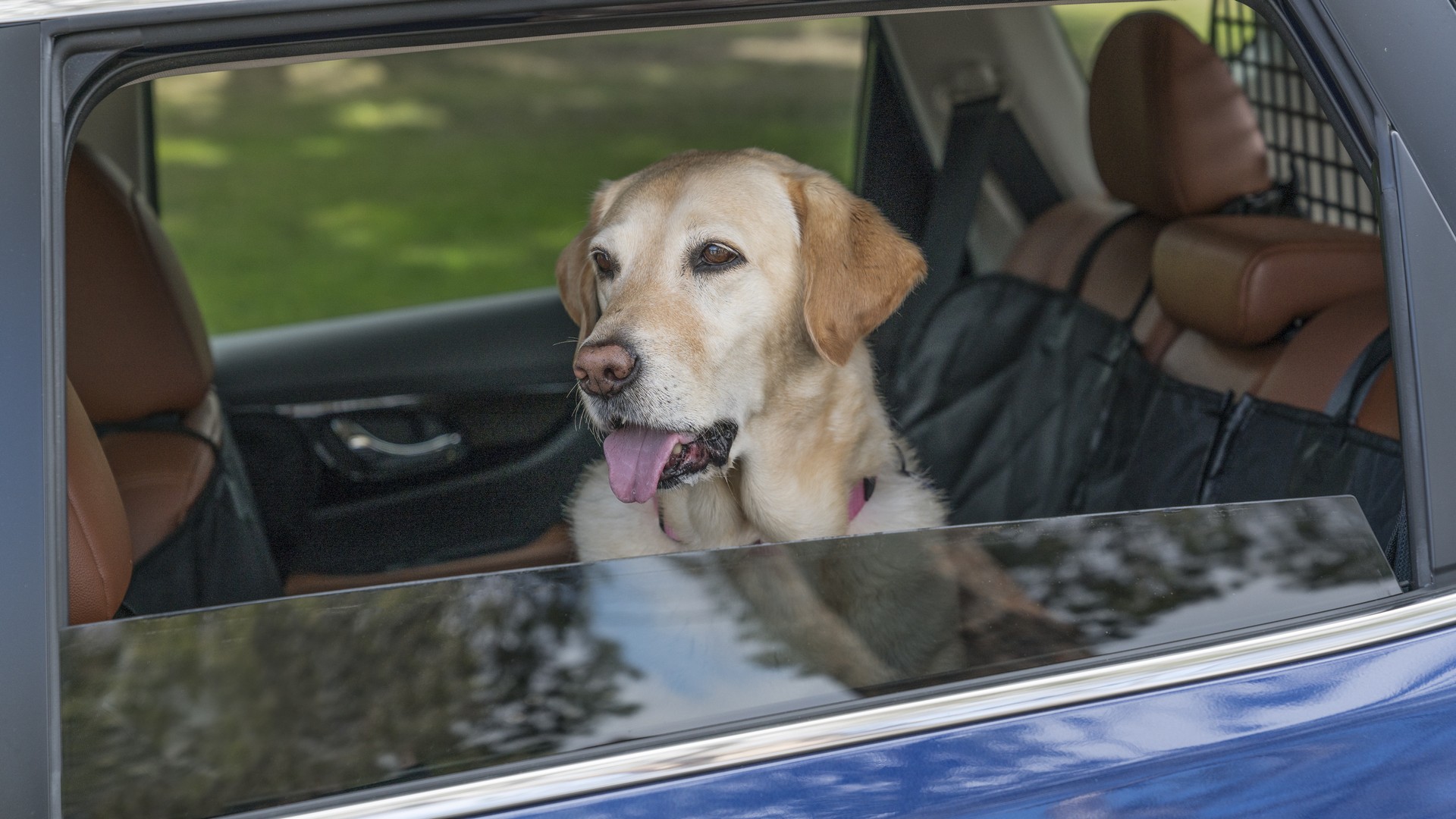 is it ok to leave a dog in a car with the windows cracked