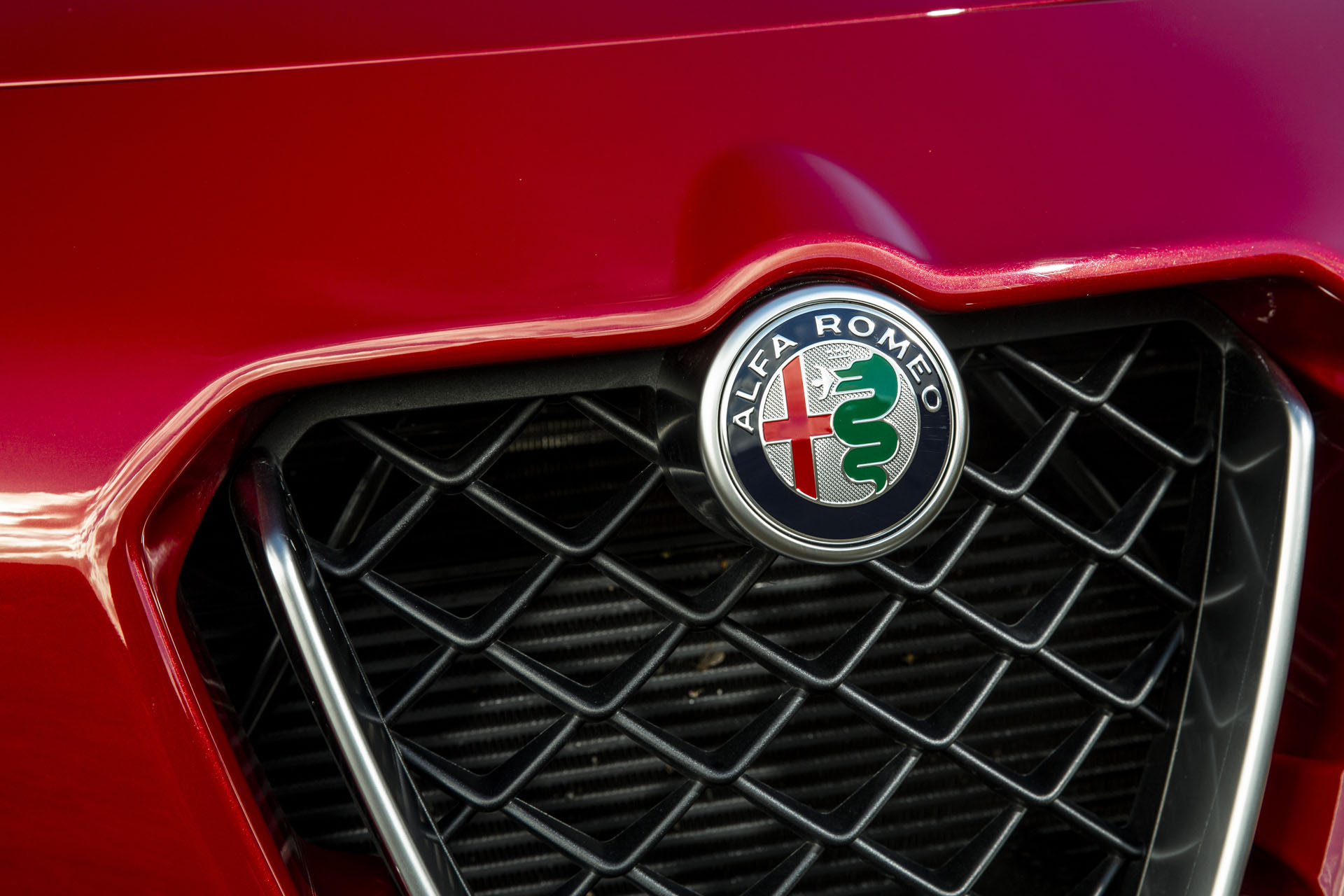 Start Your Morning Off Right With 125 Photos Of The Alfa Romeo Stelvio 