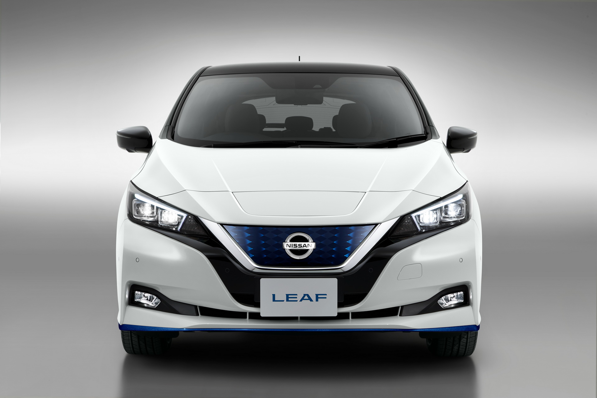 Nissan leaf plus