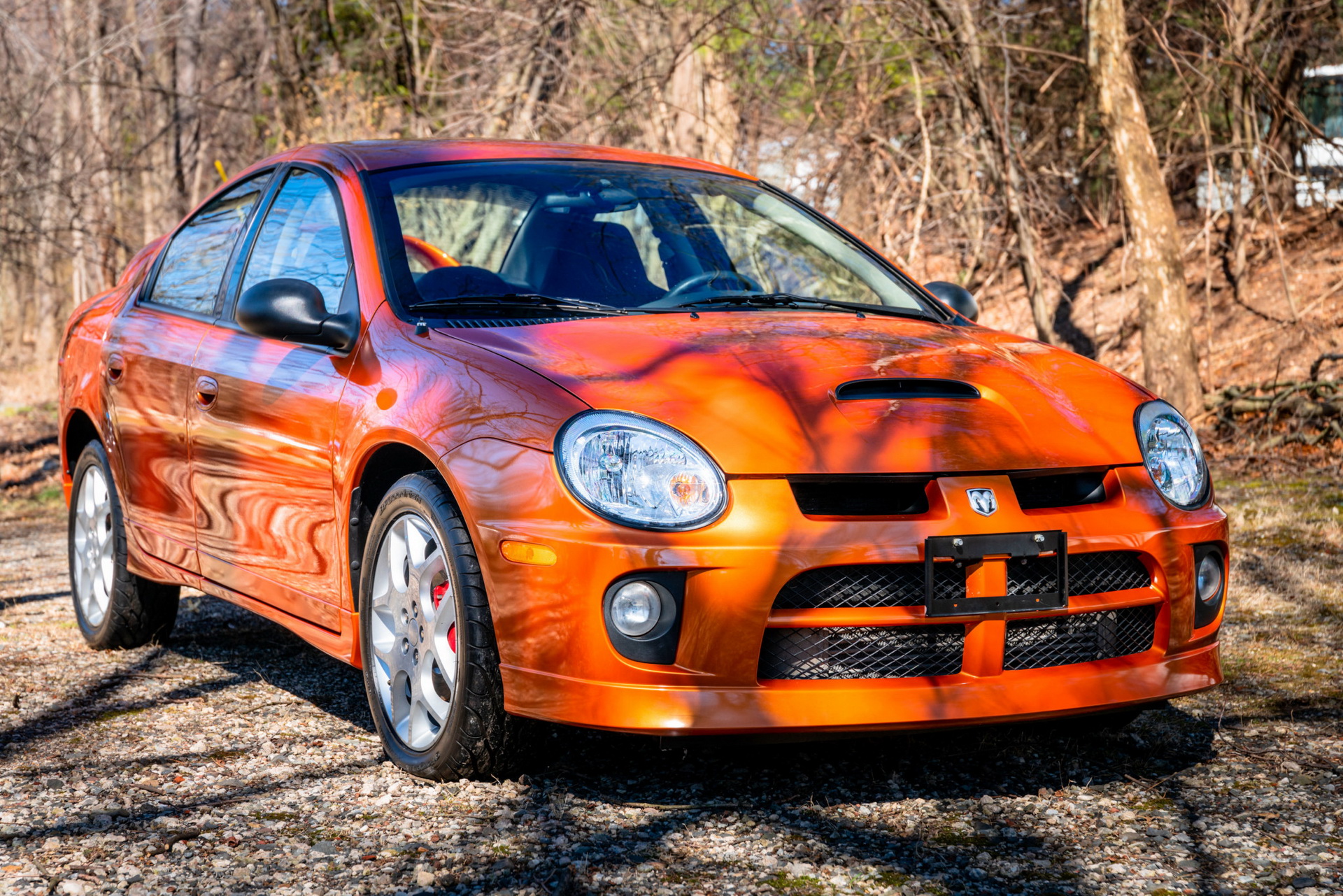 Dodge neon фото