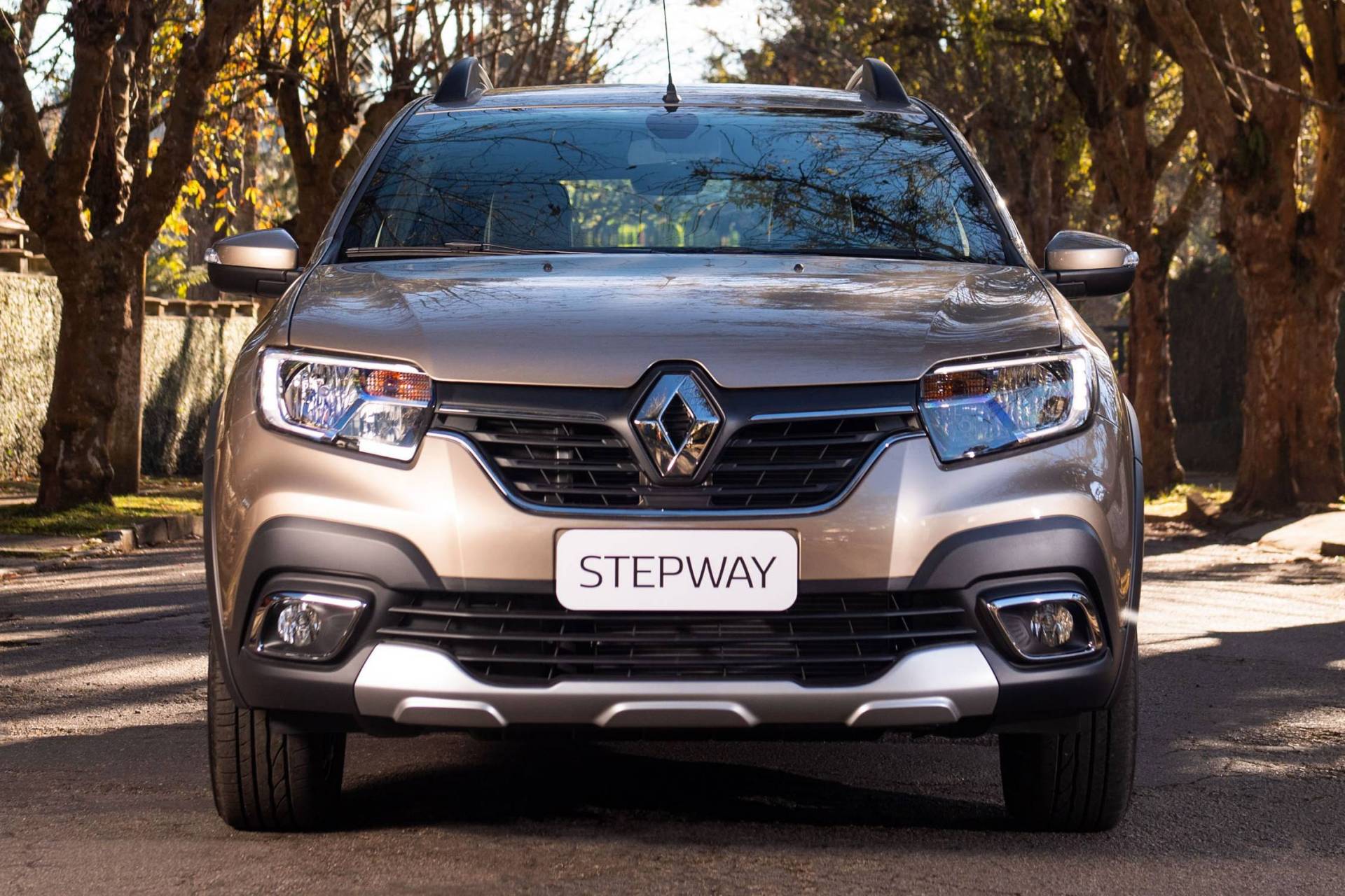 Renault Stepway 2020