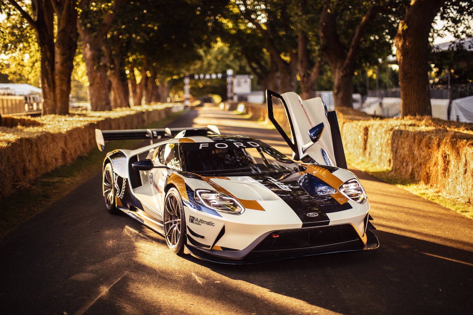 Ford gt mk2