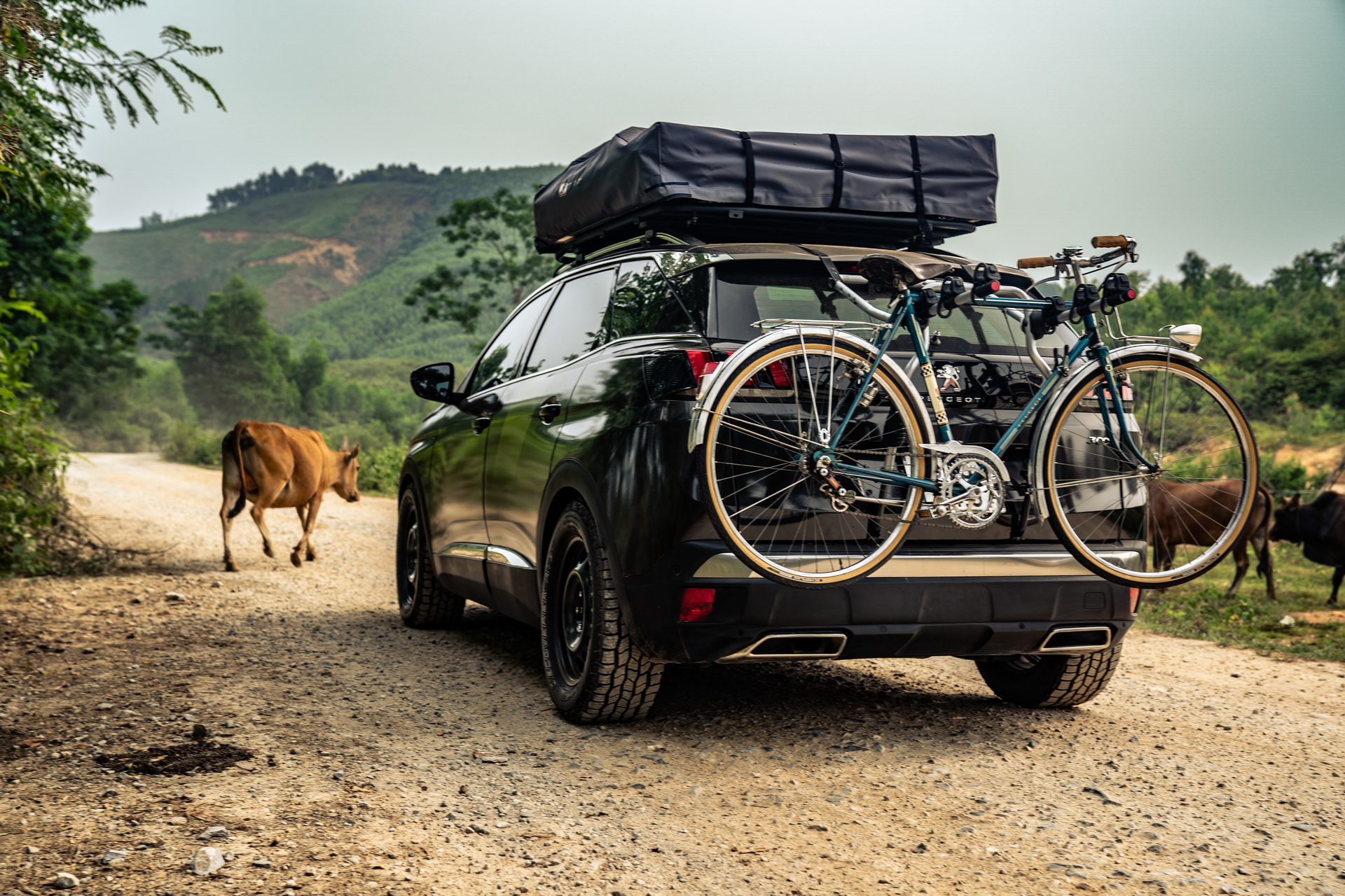 peugeot 5008 bike rack