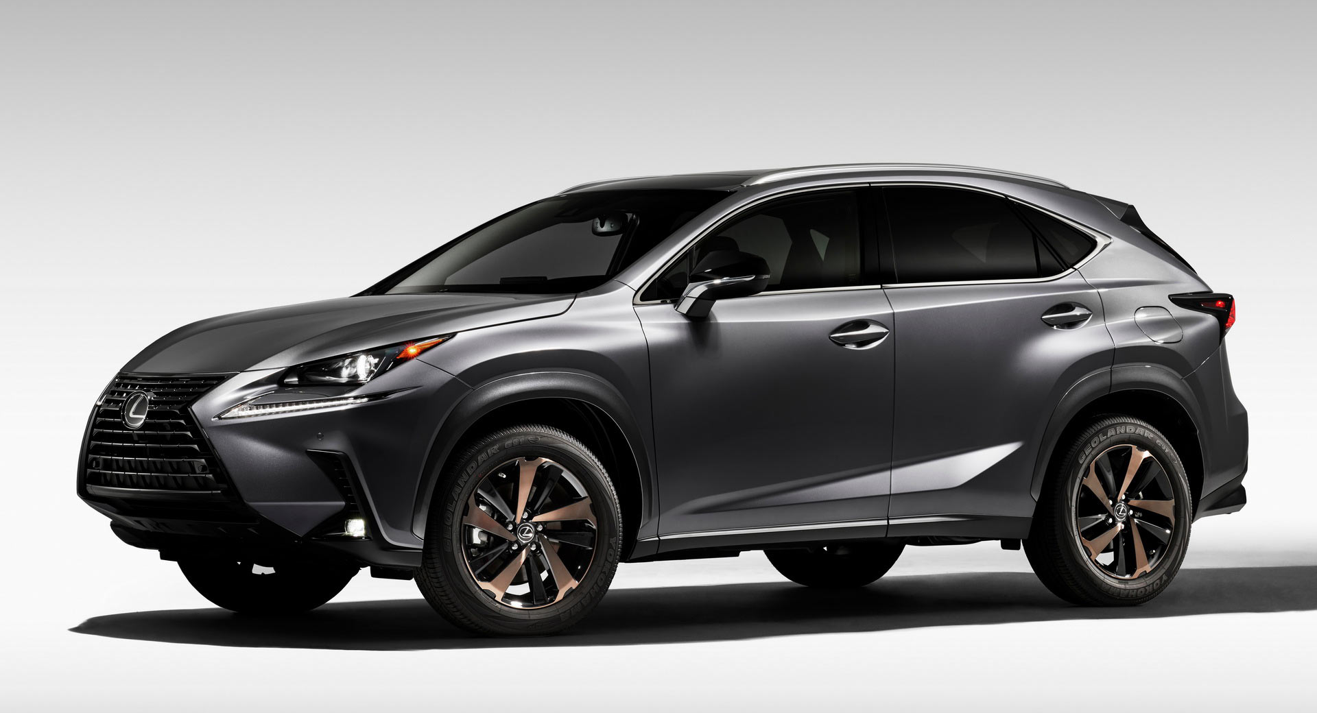 2020 Lexus NX 300 Black Line Special Edition Comes Loaded With Bronze ...