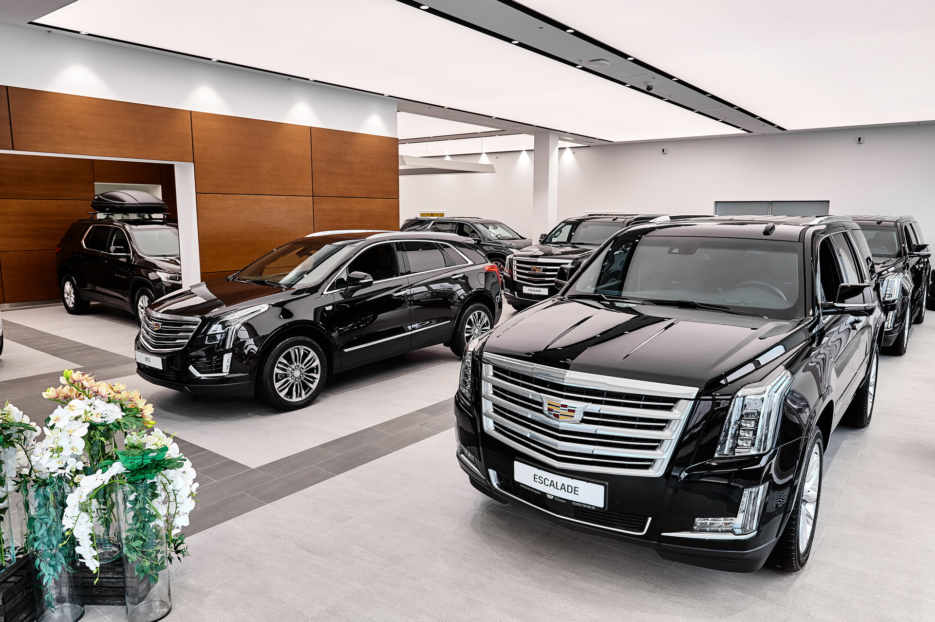 Дилер модельный ряд. Кадиллак Эскалейд в автосалоне. Avilon белая дача Cadillac. Cadillac Escalade автосалон. Кадиллак Эскалейд Авилон.