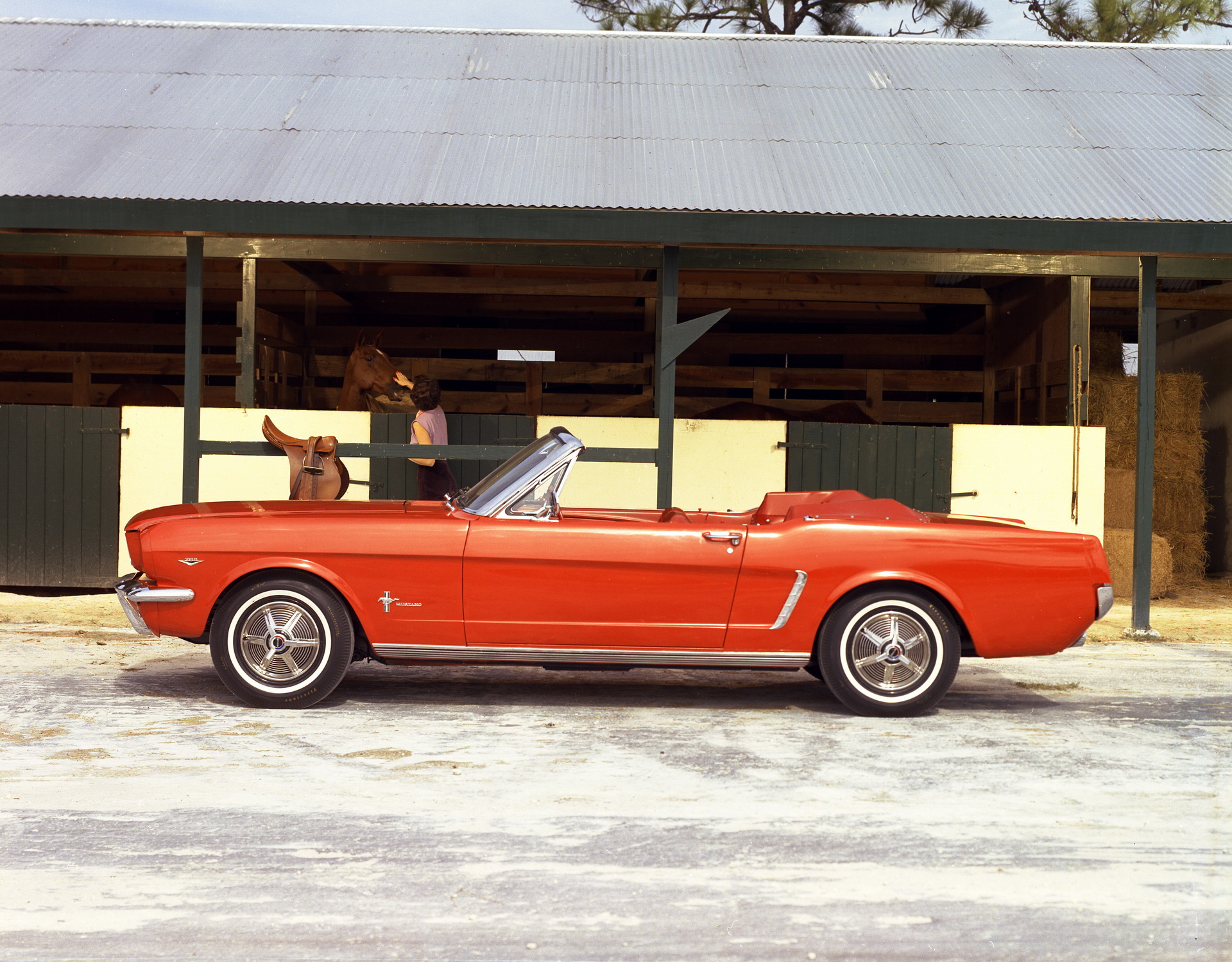 Ford Adds New Colors For Mustang Mach E Gt Including Flashy Cyber Orange Carscoops