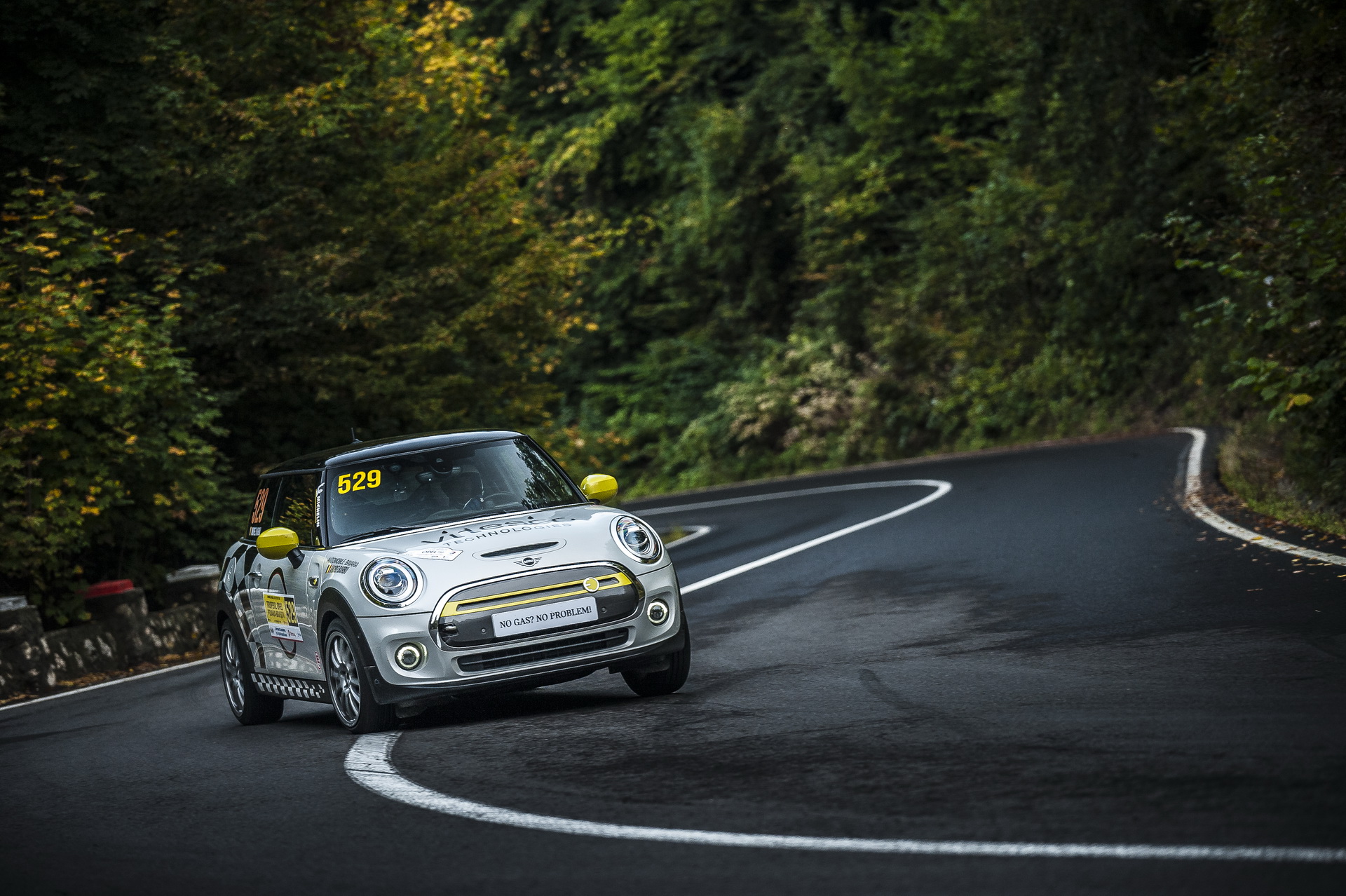 Mini Cooper Rally Cross