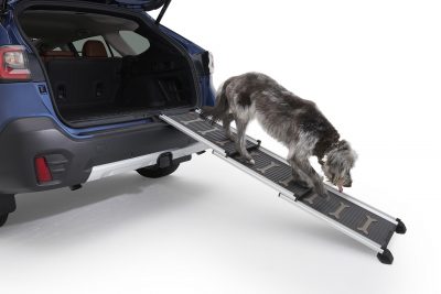 Subaru’s New Line Of Accessories Protects Your Pets From Your Car And ...