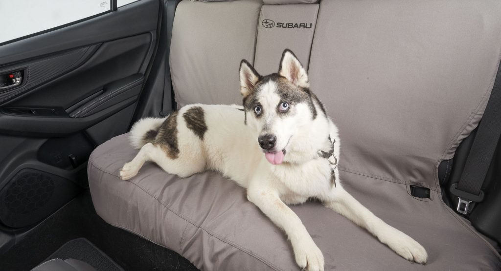  Subaru’s New Line Of Accessories Protects Your Pets From Your Car And Your Car From Your Pets