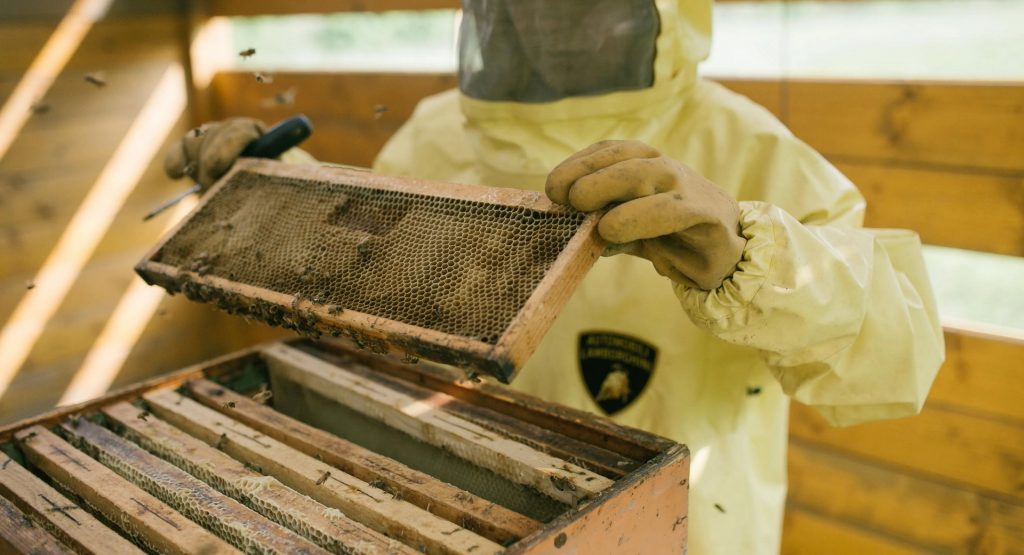  Lamborghini’s Own Flight Of The Bumblebees Involves 600,000 Insects In Bee-utiful Study