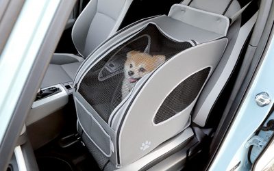 Honda Is Offering Paw-Decorated Accessories For Dog People’s Cars In ...