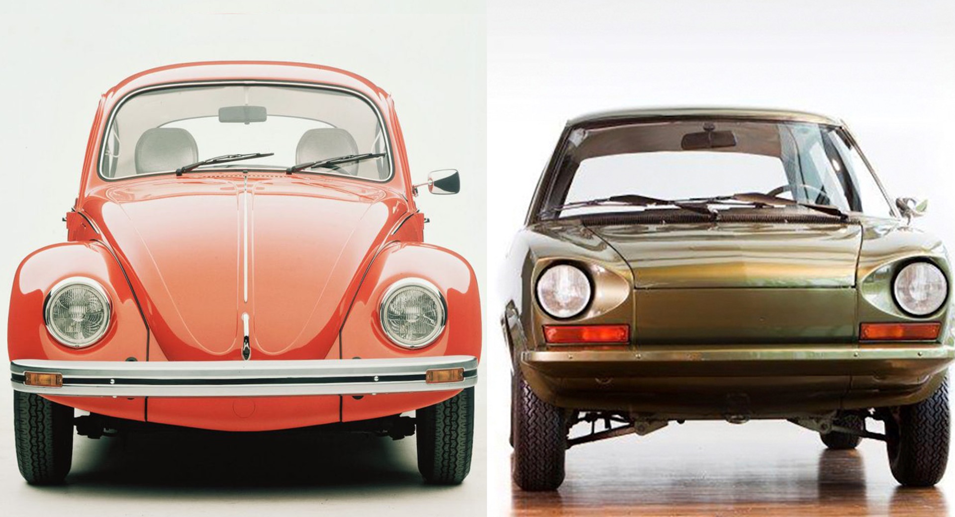 The Unloved Bugs: Remembering The Beetle Successors That Never