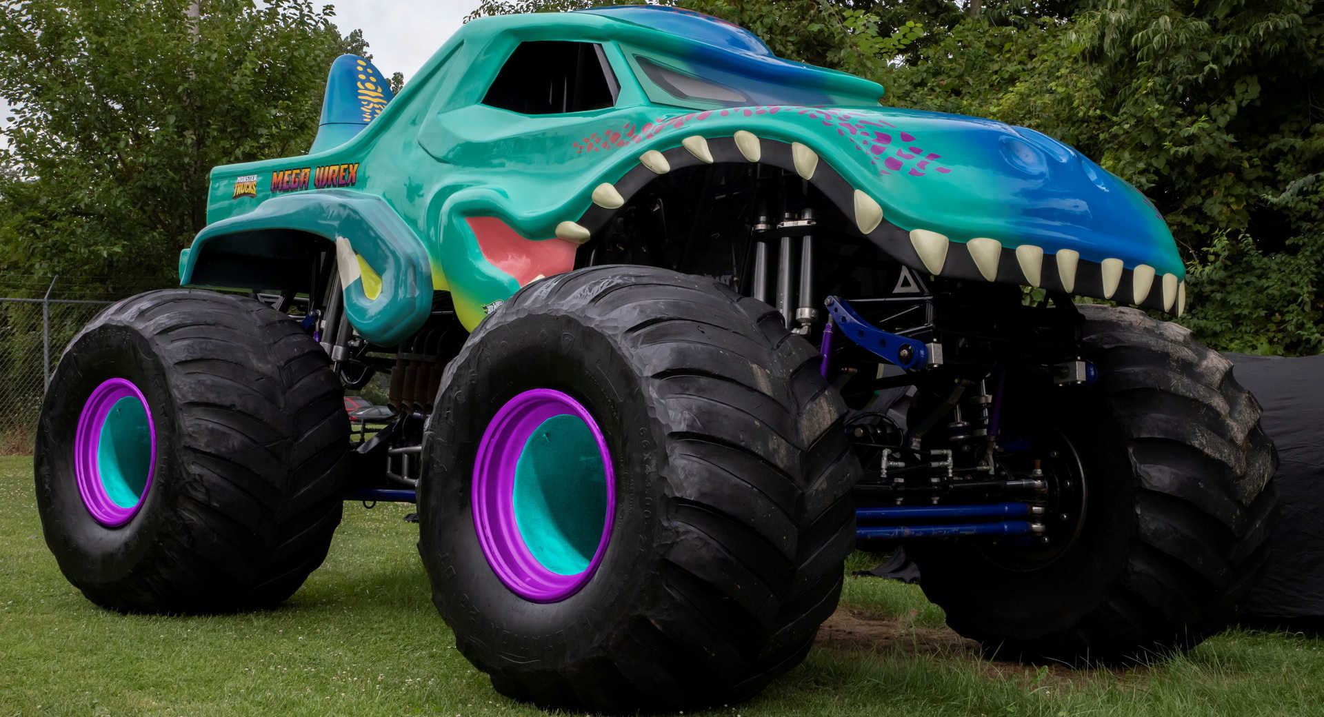 Hot Wheels Monster Trucks LIVE Mega Wrex Diecast Car (2022)