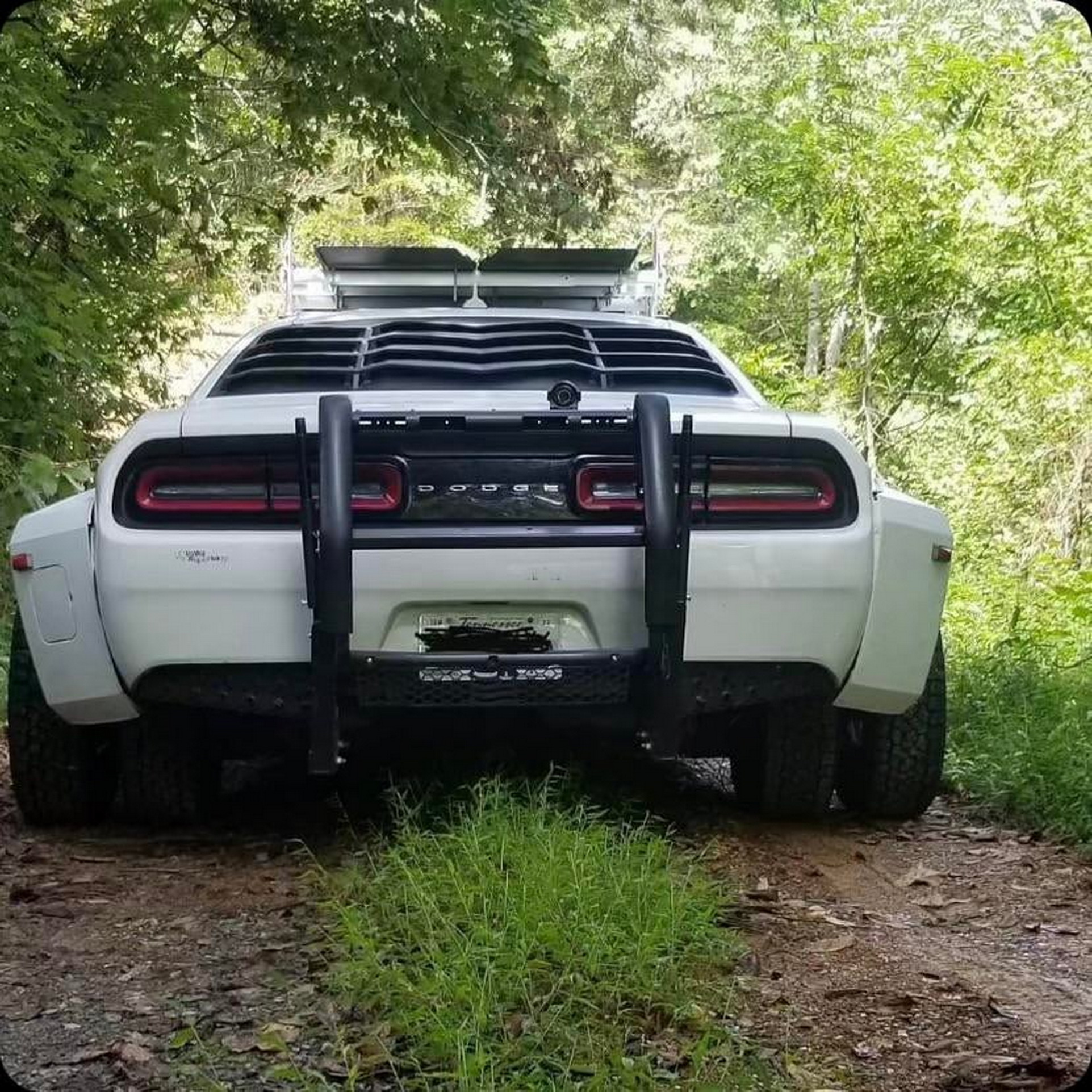 Dodge challenger outlet bull bar