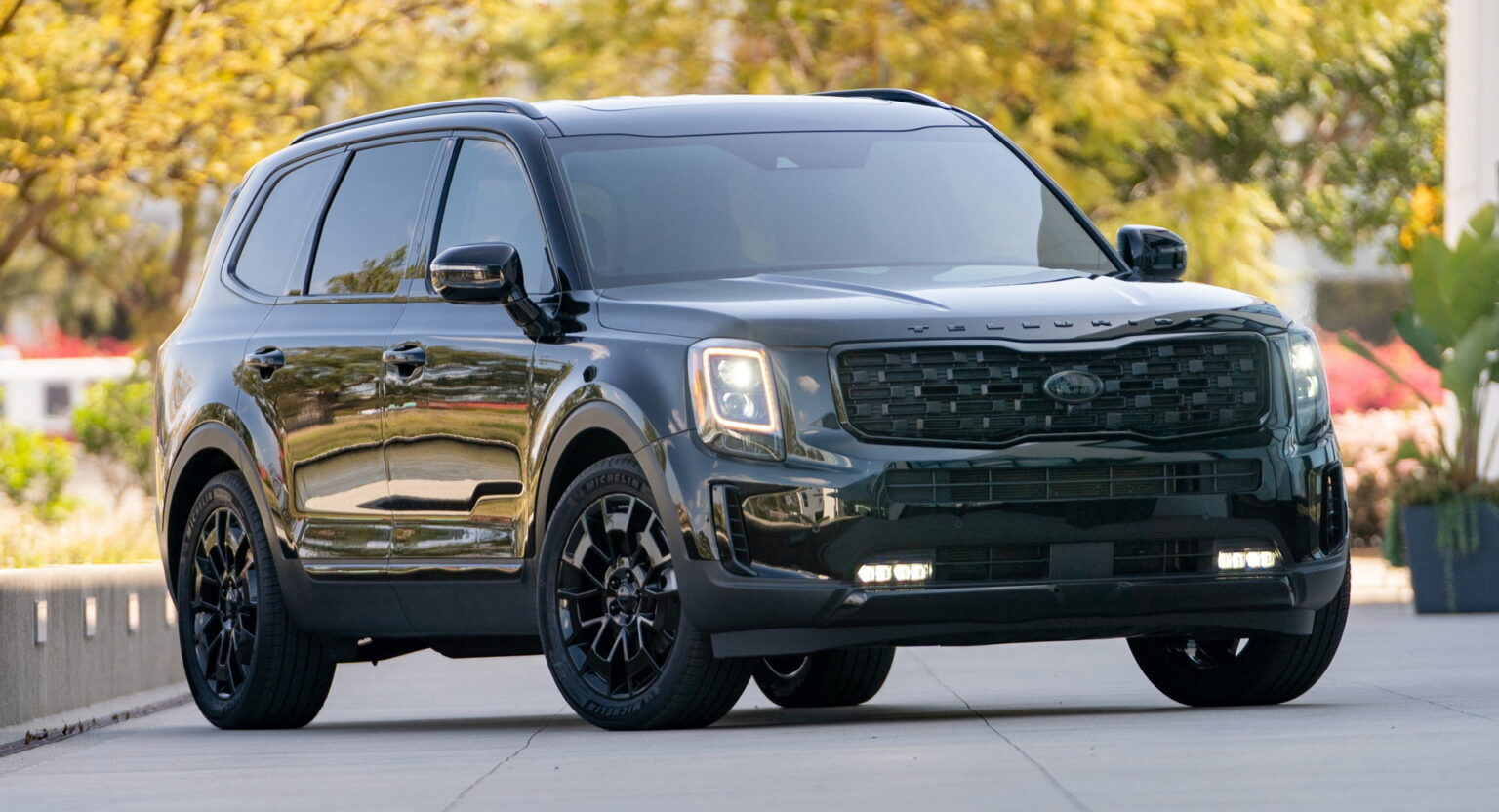 Kia Telluride And Hyundai Palisade Owners Advised To Not Park Inside ...