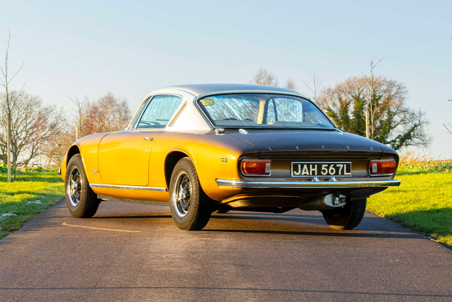 Lotus elan