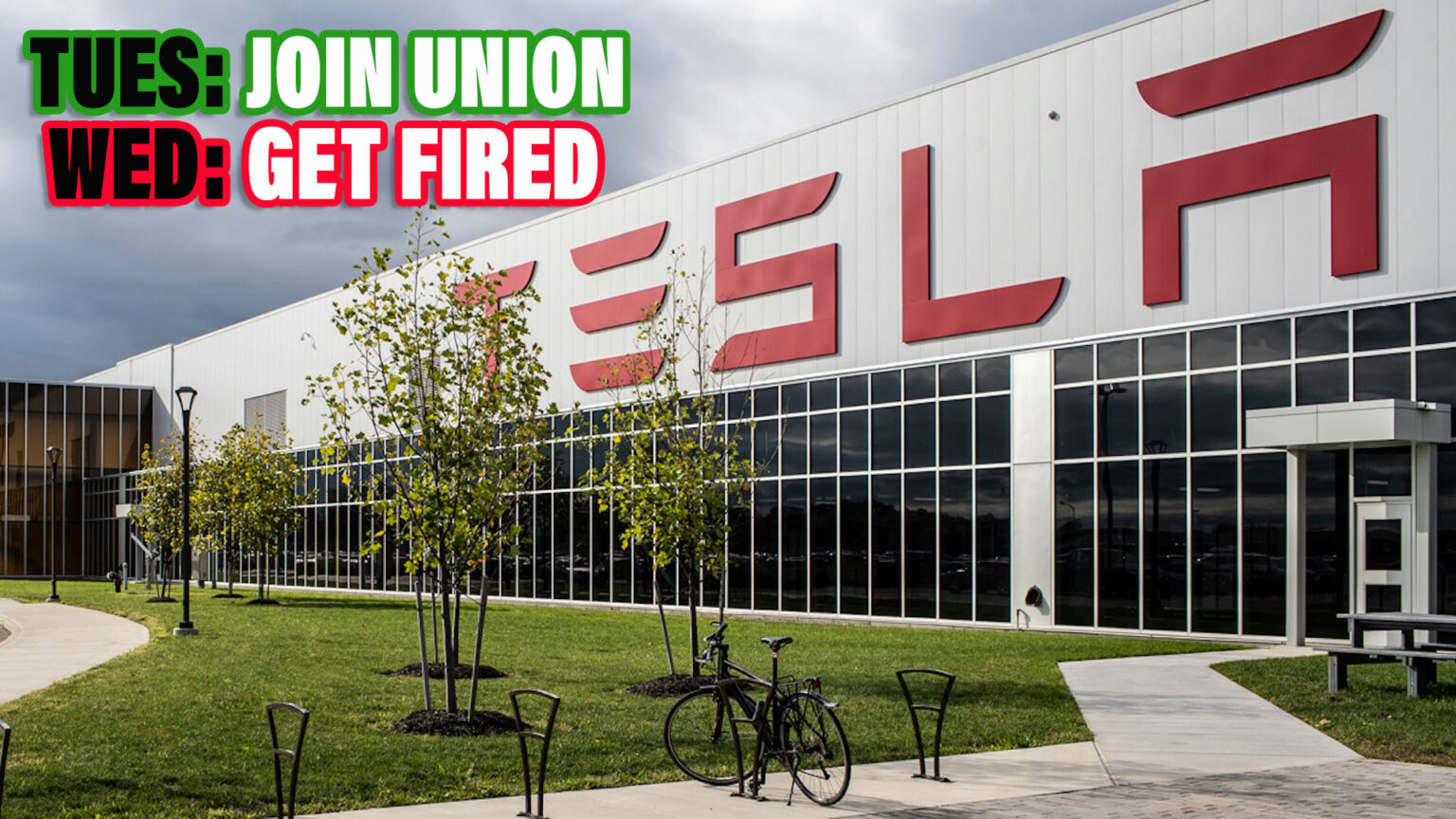 Tesla Fired Workers After They Announced Plans To Unionize, Employees ...