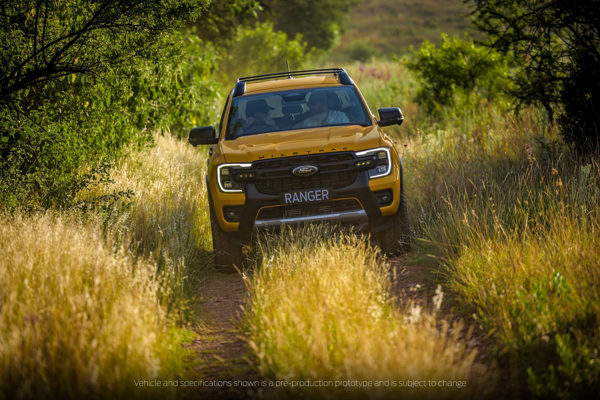 Ford Ranger Wildtrak