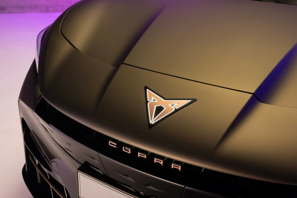 2024 Cupra Tavascan SUV Coupe Debuts With Up to 335 HP and 342 Miles of  Range - autoevolution