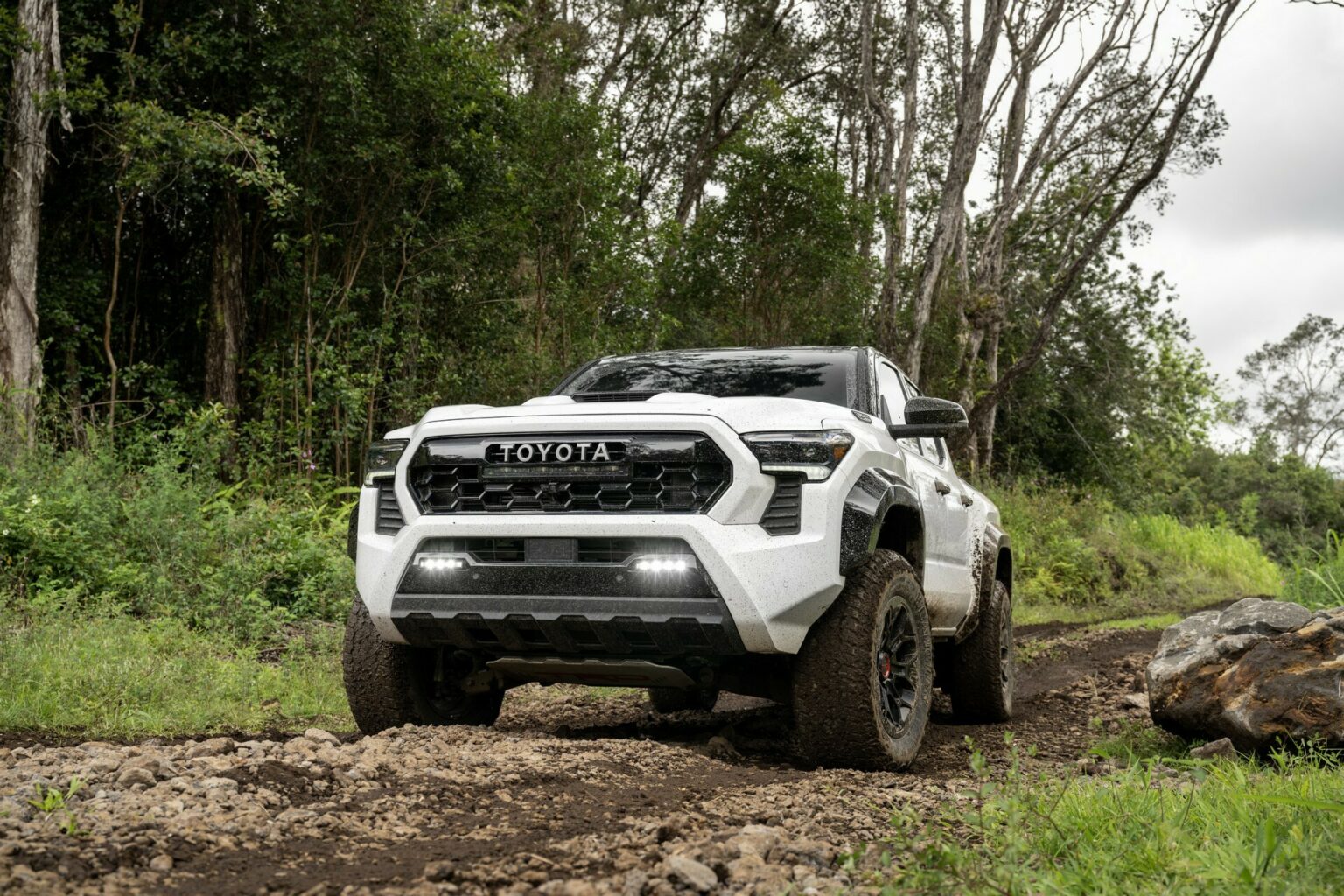 Color Us Impressed: 2024 Toyota Tacoma TRD Pro Gains Exclusive Terra ...