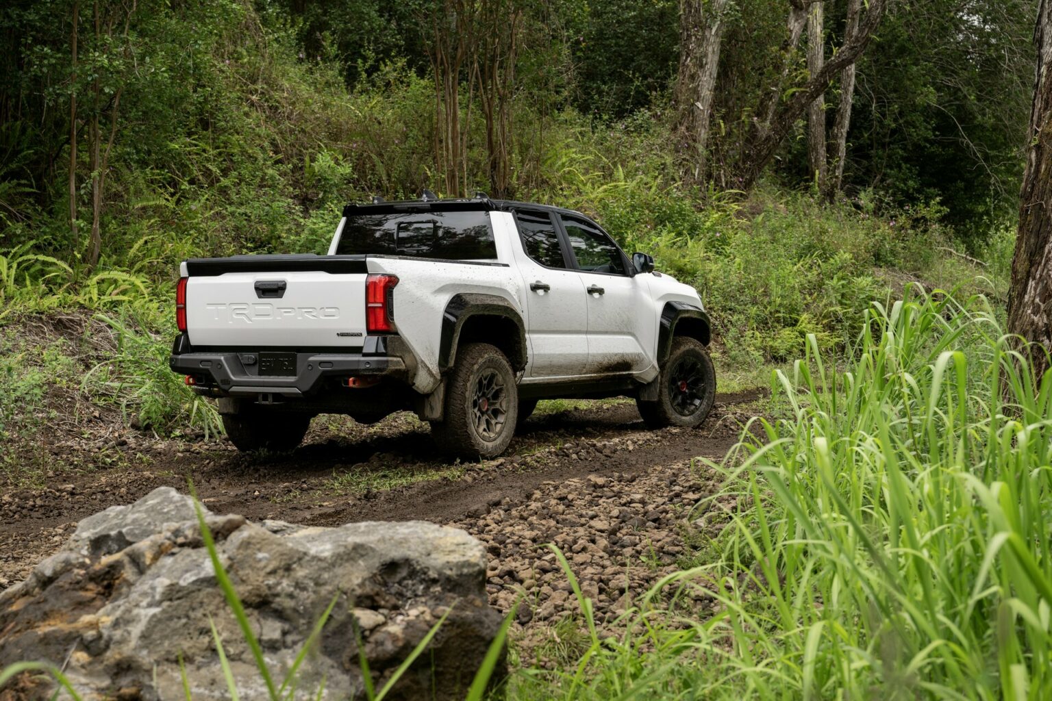 Color Us Impressed: 2024 Toyota Tacoma TRD Pro Gains Exclusive Terra ...