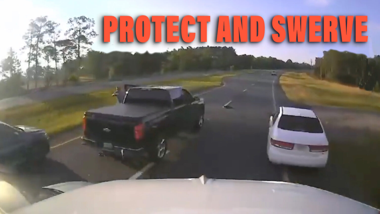 Florida Driver Stops To Help Turtle, Causes Pile-Up And Shell Shock ...