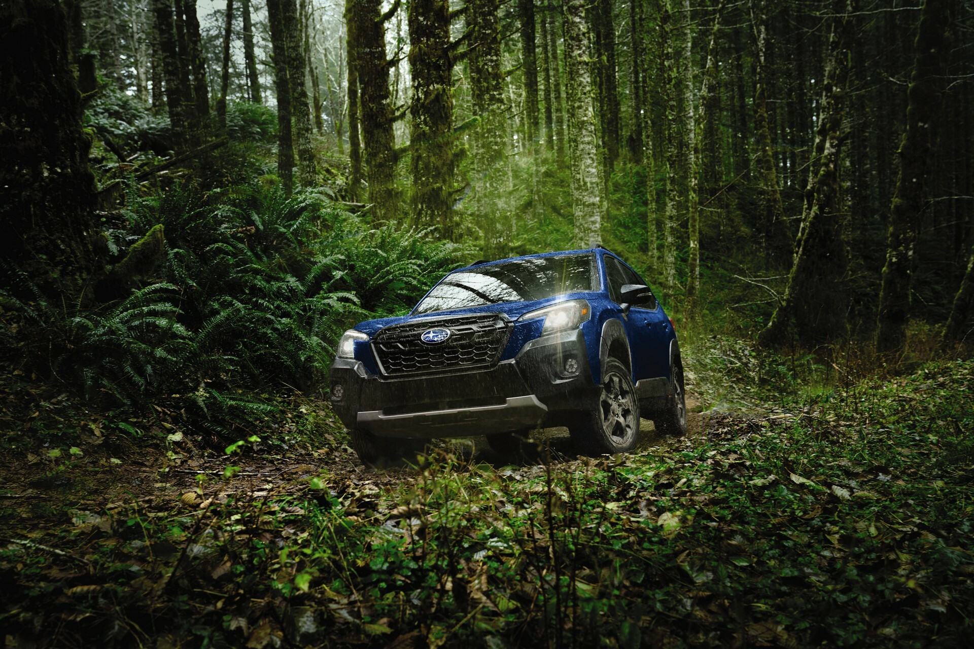 2024 Subaru Forester Is Feeling Foggy, Gets 400 Price Hike Carscoops