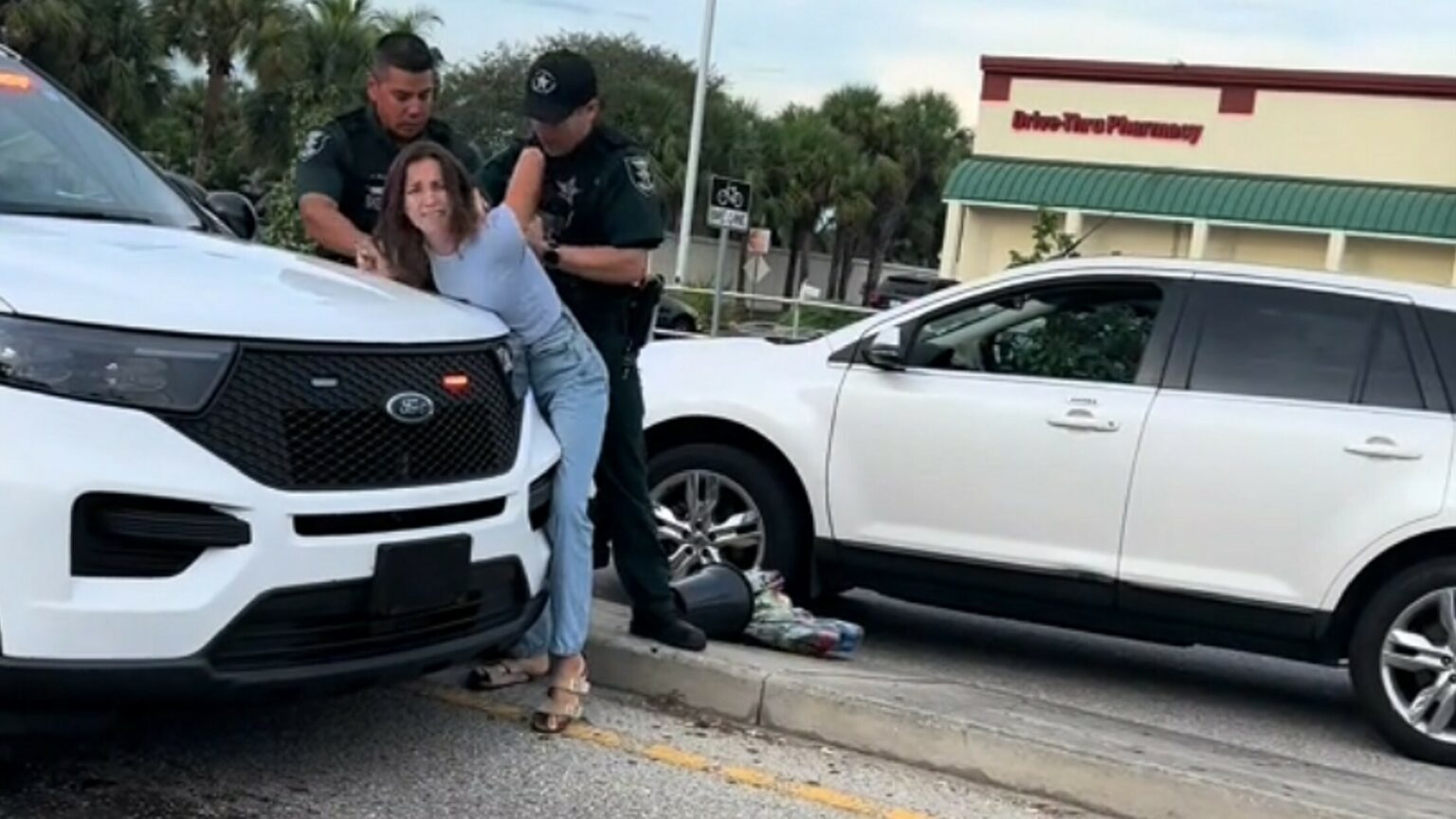 Florida Woman Arrested After Stopping Her SUV To Give $20 To A Flower ...