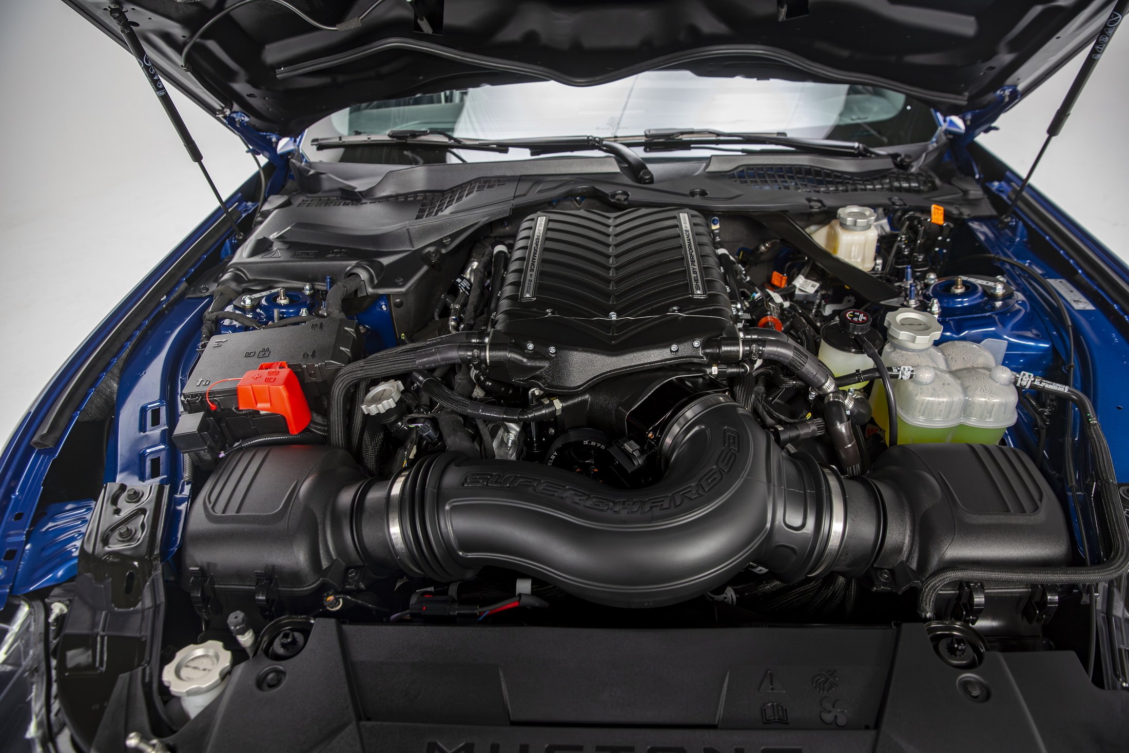 830hp Shelby Super Snake: Ford’s S650 Mustang Just Got Venomous 