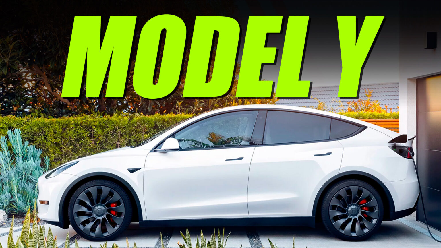 Elon Musk Confirms No Tesla Model Y Refresh Is Coming This Year 