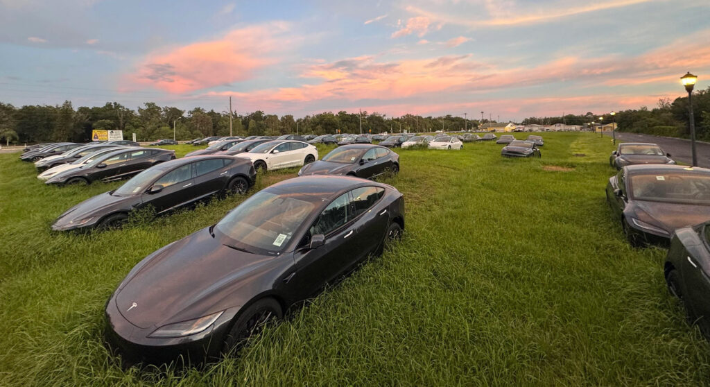  Hundreds Of Brand-New Teslas Roasting Under The Florida Sun In Overgrown Field