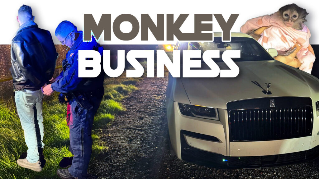  Wildest Traffic Stop Of The Year Ends With Rolls-Royce Driver Busted For DUI, Drugs, And A Monkey